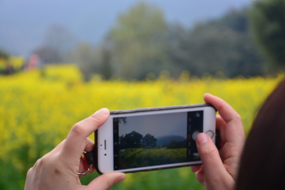 2C441633-EBD4-4D07-AA72-6BA2CEA13E89