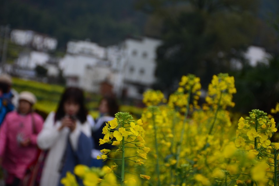 6EDCEFCE-311D-47EC-AB83-79C36C1BA641