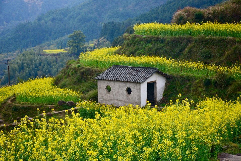 C40E5CA0-034A-401B-B6D9-ED4A29502022