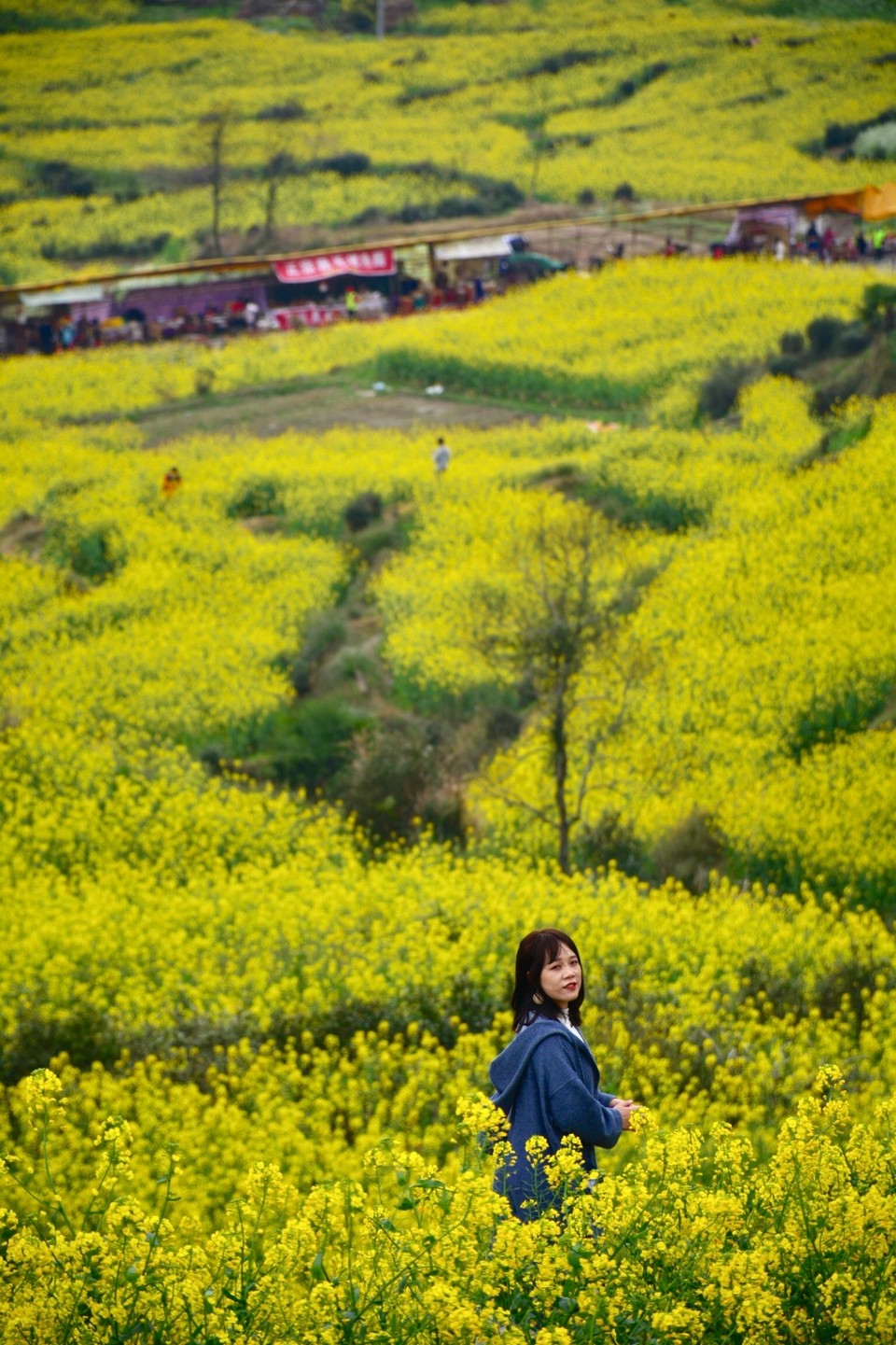 A3D4B1E8-F76C-4BE3-B39B-CAA3F3620E56