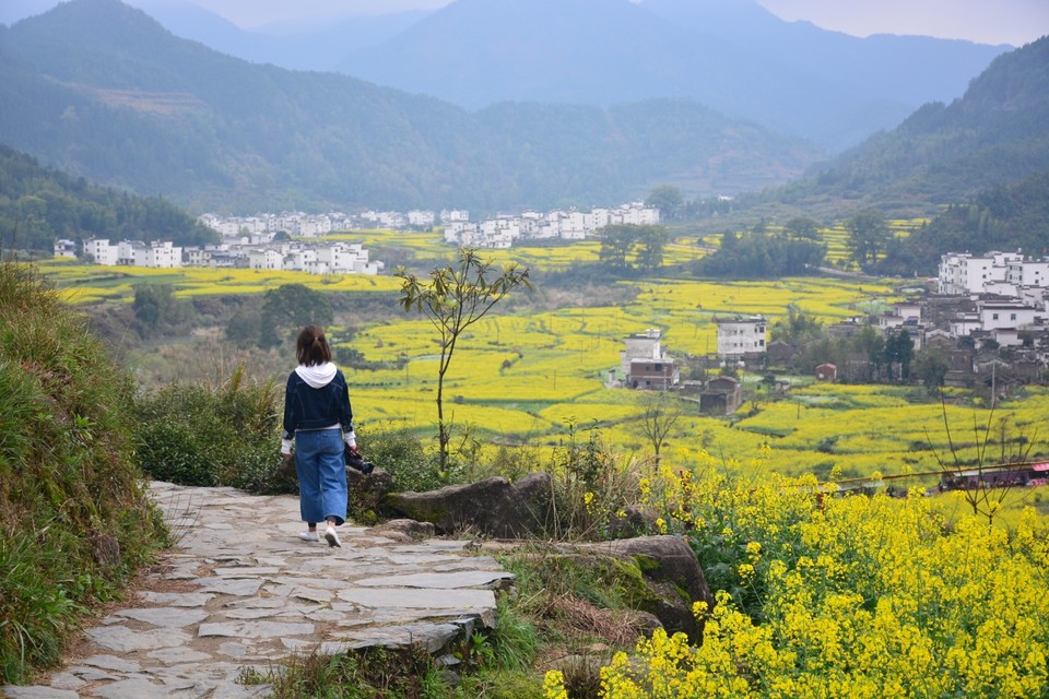 47CF53C9-F974-4CE0-B35A-FC8AA996BC58