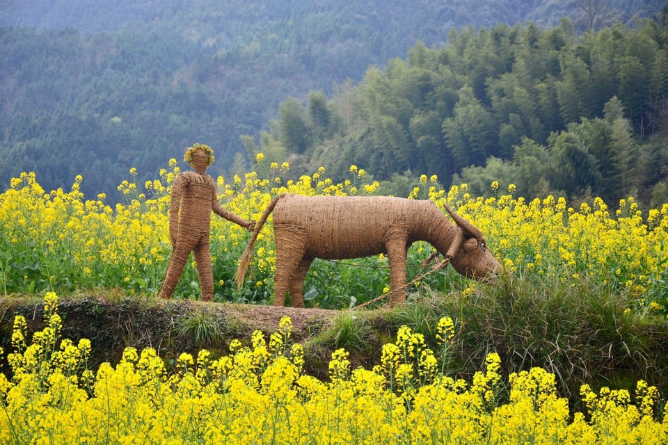 09B3711A-2479-4876-B897-7117F91784FA