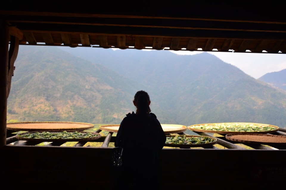 BC3500D7-1B5D-48FE-9472-D6FEA5CA402C