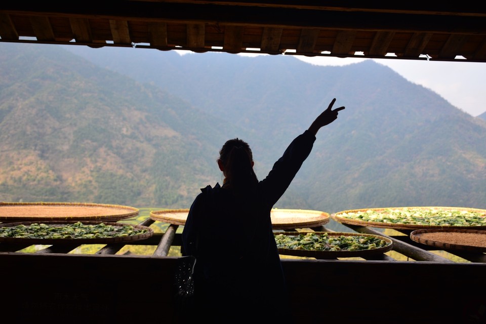 1A0DB94C-80CE-419D-93AE-22DB27C9FAFD