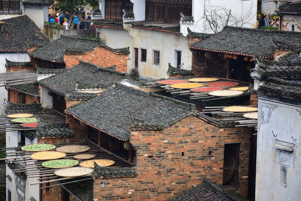 98021F0E-77BC-4BA4-A958-5B7C4BE9A19A