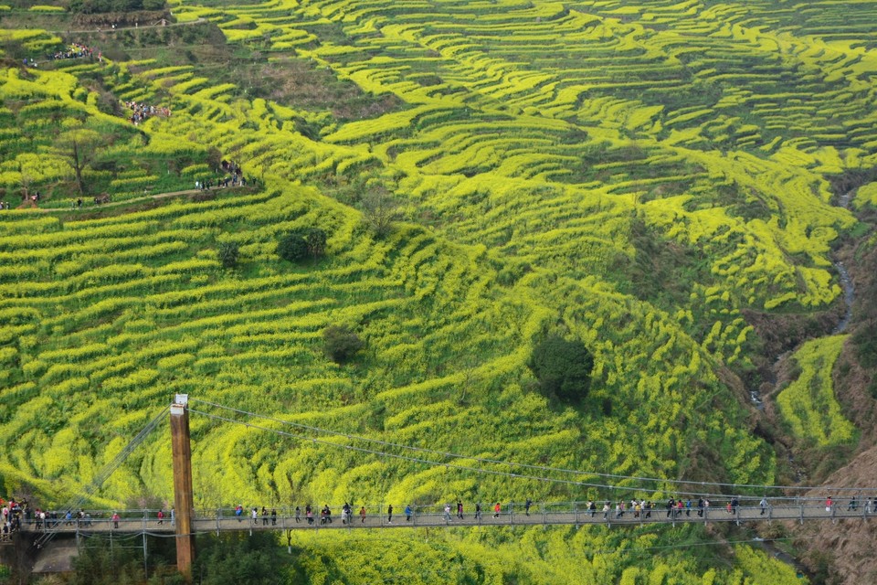 9DAB0EDD-F175-43BB-A22D-33241F530B85