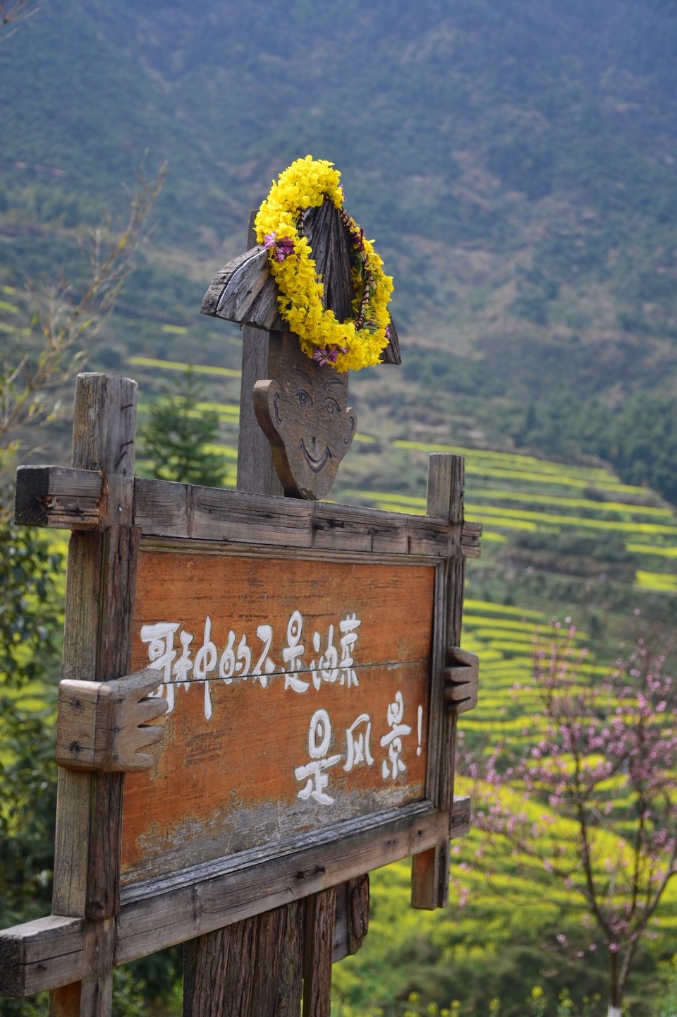 EB2BA114-5F26-489E-8687-126A46DAC68E