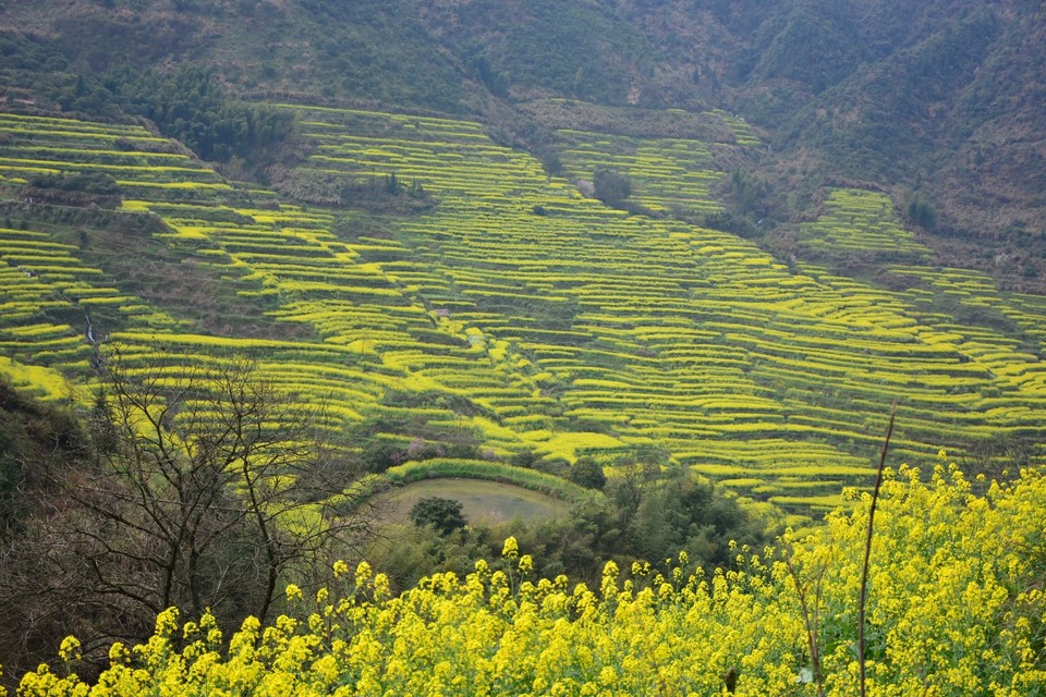 590E53AD-D033-4FB0-9506-4BC918851B91