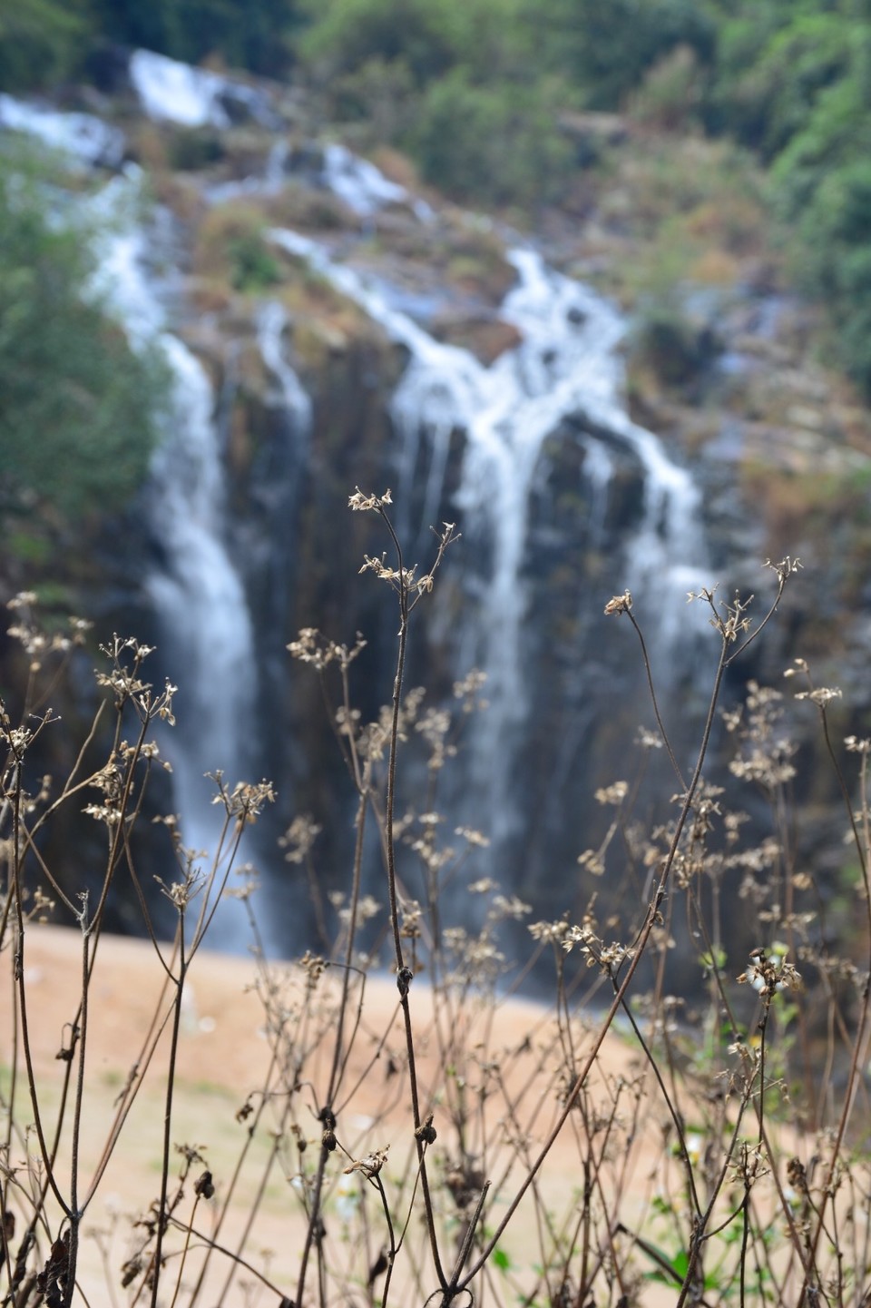 D74A8980-D51B-4195-9BE0-57A419E2F565