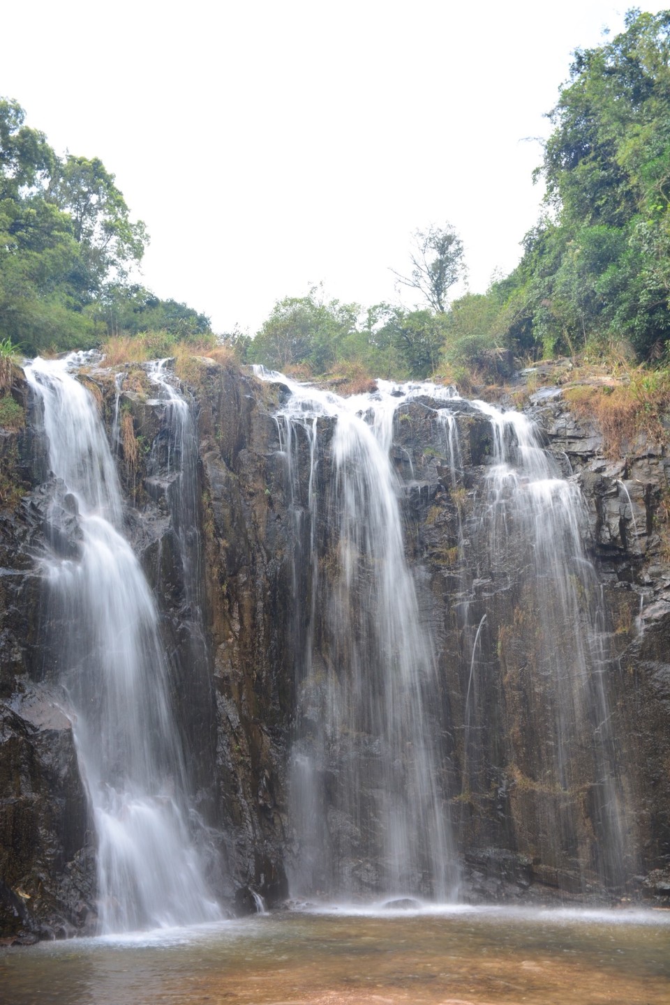 C8D5F117-FC73-4D12-A647-940C524E7DEC