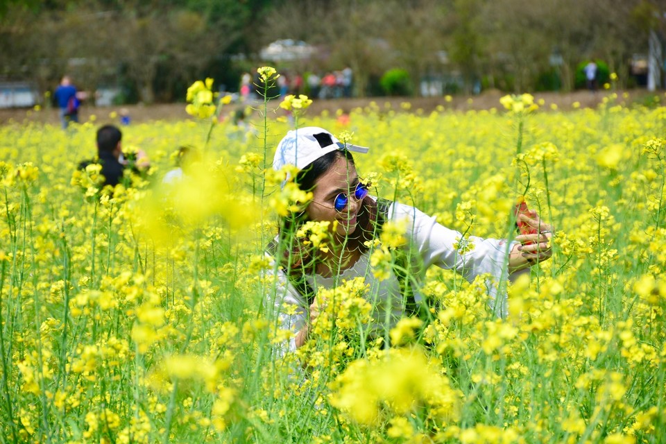 6CBA20CD-9624-4399-9277-093847DA44A1