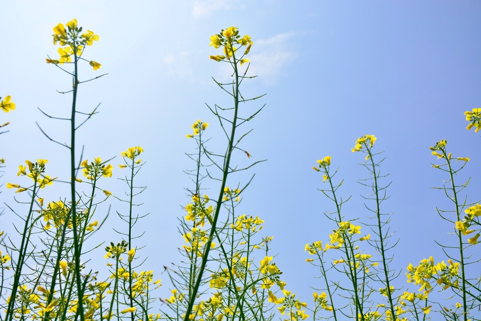 4D629D90-133A-4AAB-8428-B7F733895931