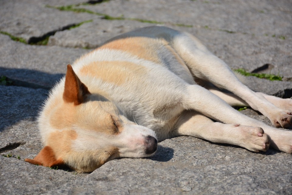 46258FCB-92AD-4B47-8B50-D9DADFB13C8E