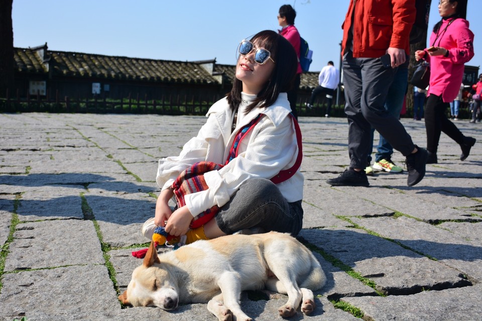 55B3D0B8-8E77-423A-A140-8364A7210022