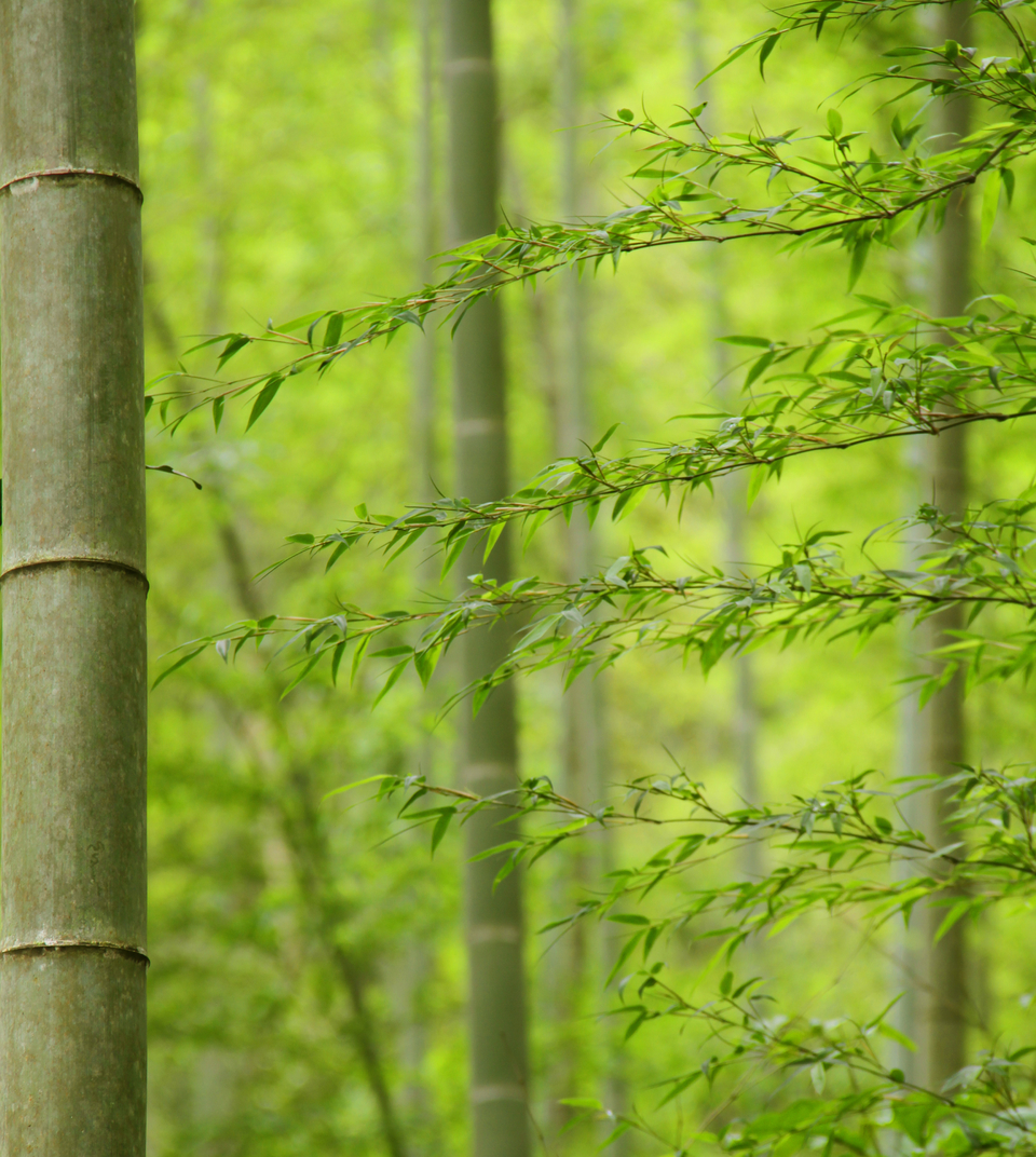 微信图片_20180102162218