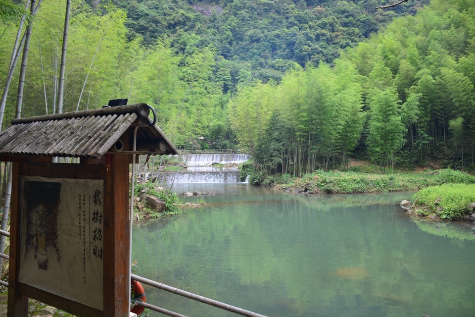 98A33921-57D4-4A2B-B49E-DEDBEEEB6227