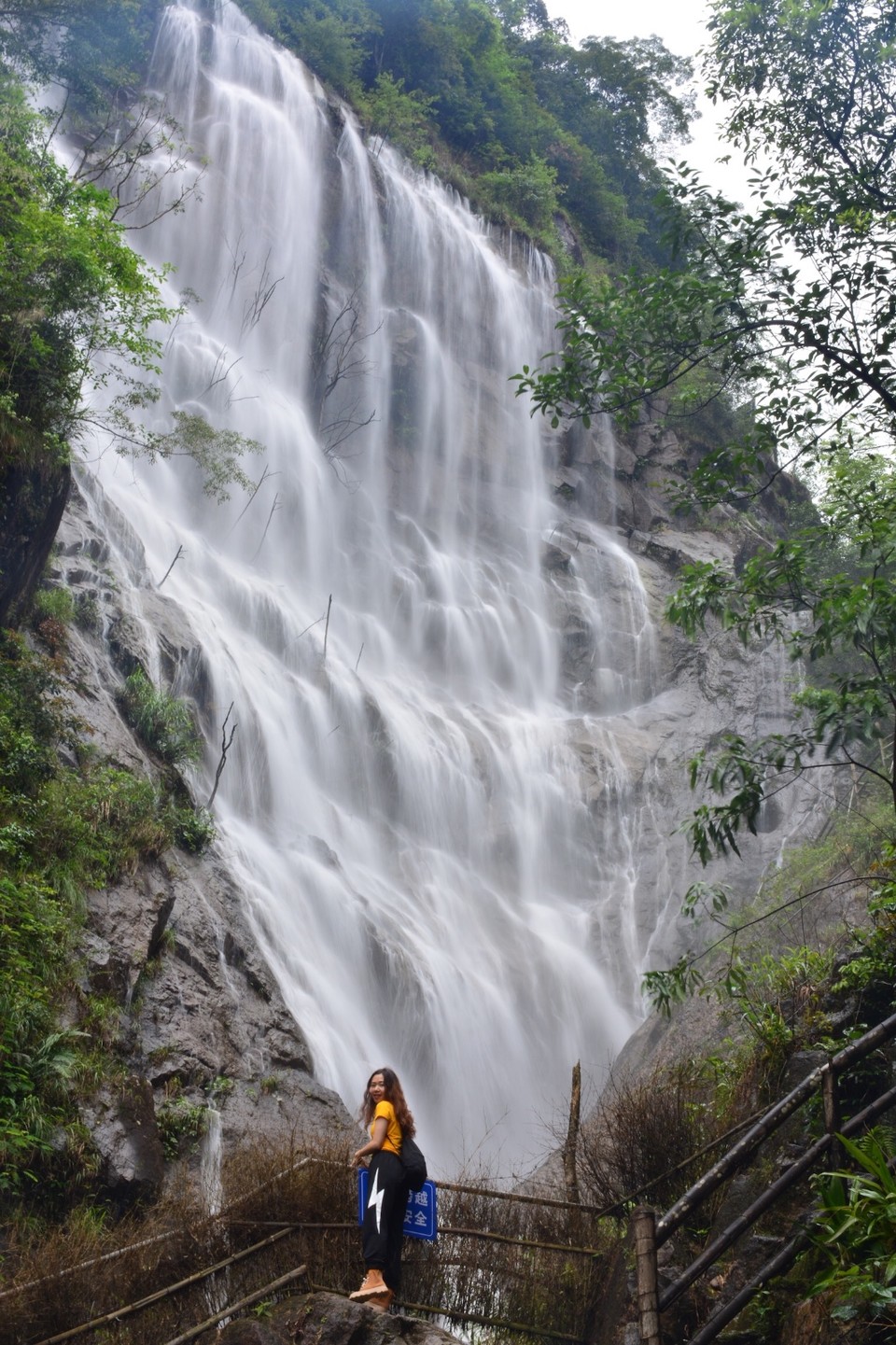 94F6DCA0-00EB-4308-A731-E55300D0EC89