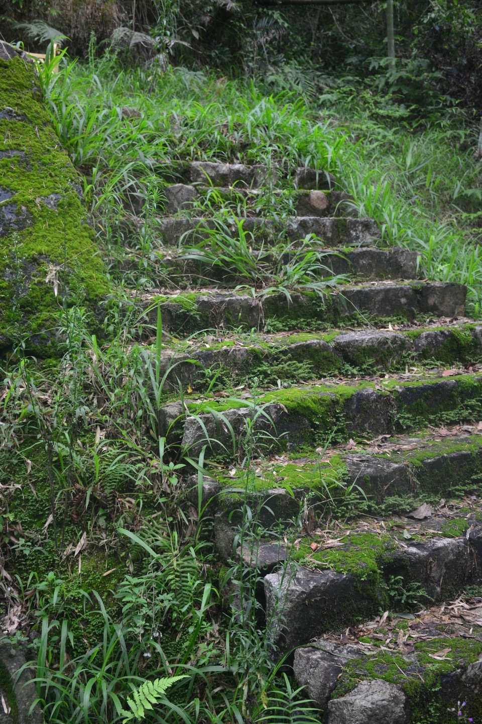 43A302A2-ACD5-4AE0-B8C4-48171AA4EDC7