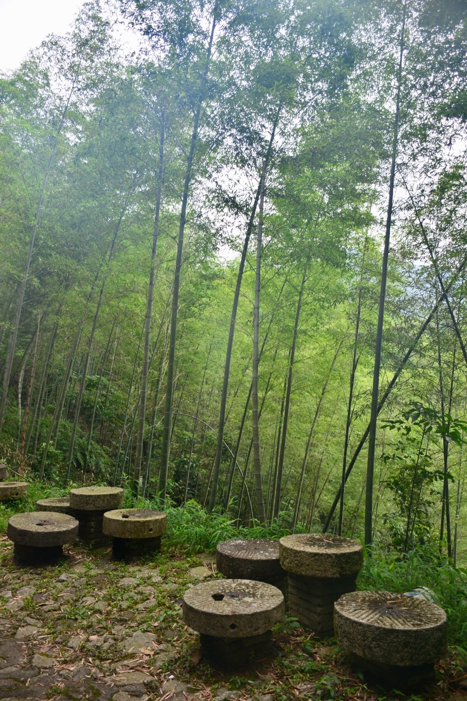 2708A935-88D0-4394-A0CA-A2AFA5AC9FEE