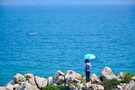 1CF6BBDD-4952-4771-BB65-35C4DDD6E86E