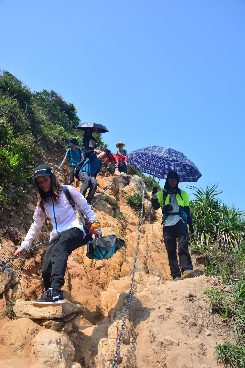 A816A5C8-06D7-471F-95C1-6D549DCED22D