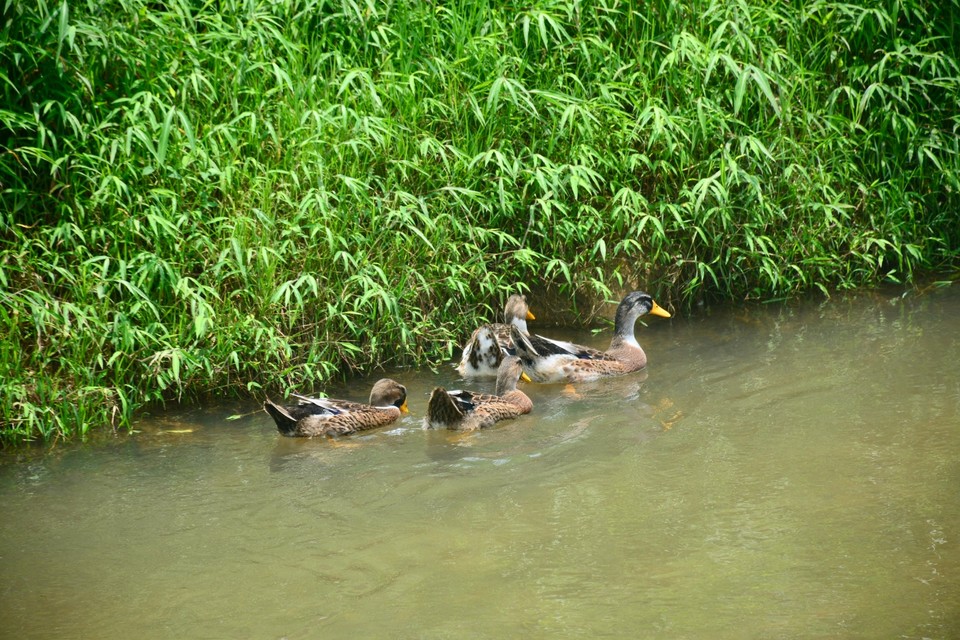 063AE496-0B70-435A-8F78-E0C16346998E