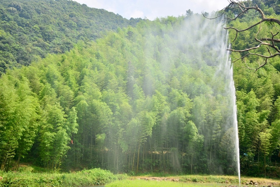 4AF23F72-384E-4BE6-9C91-F3B0BE2D9509