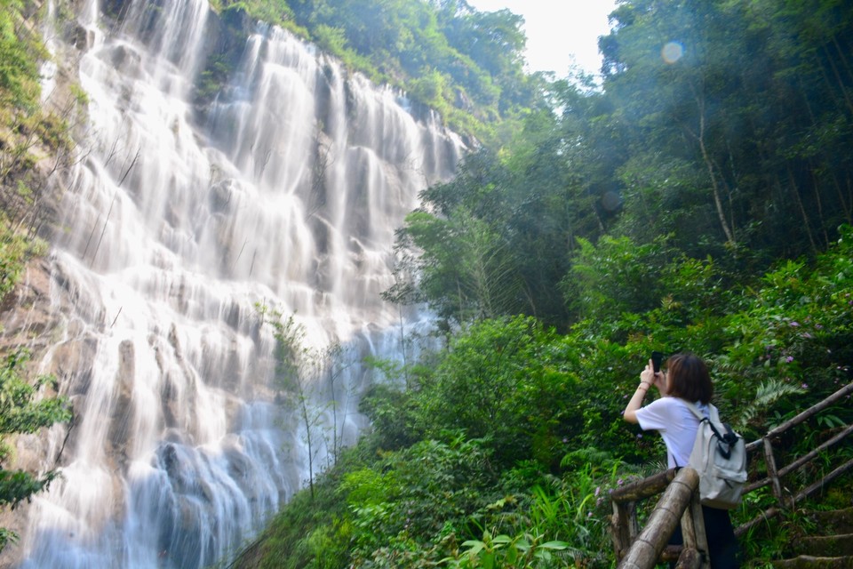 FD088536-CA31-43E6-9D9C-3C1B0AFC4C2C