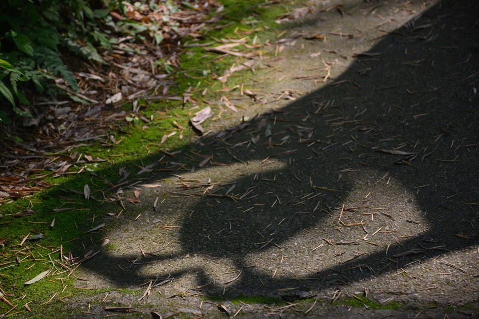 48D0C9DF-D47D-4FC5-BC87-5F17FF4A241C