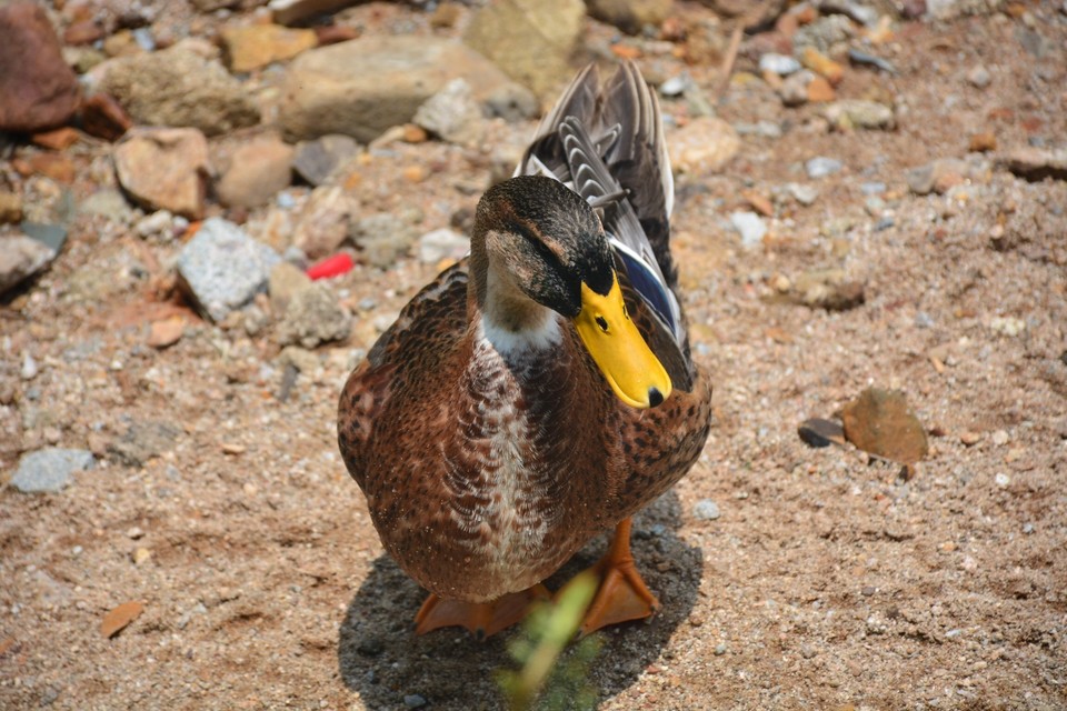 8BE4659D-E621-4769-A8FC-FE85406078A2