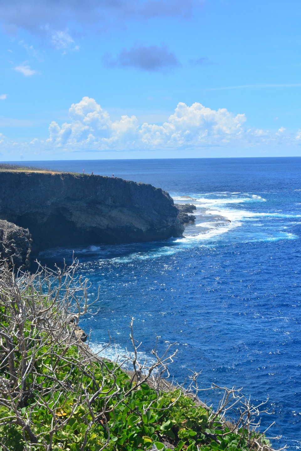 C1B6BB99-DF96-4C35-90F3-510EE1527B81