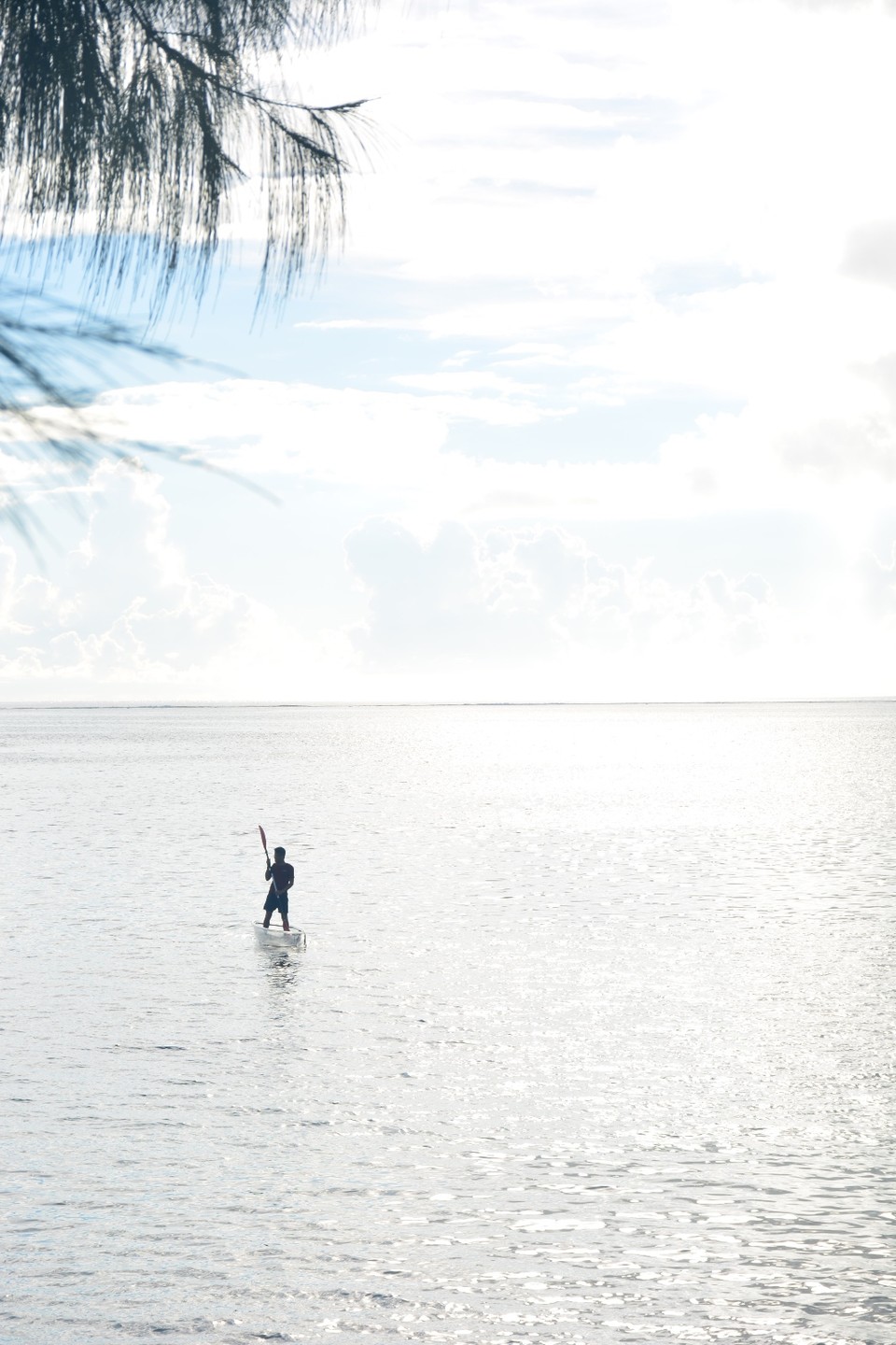 34E818A0-BA53-40E5-A57C-DF0BD1752AD0