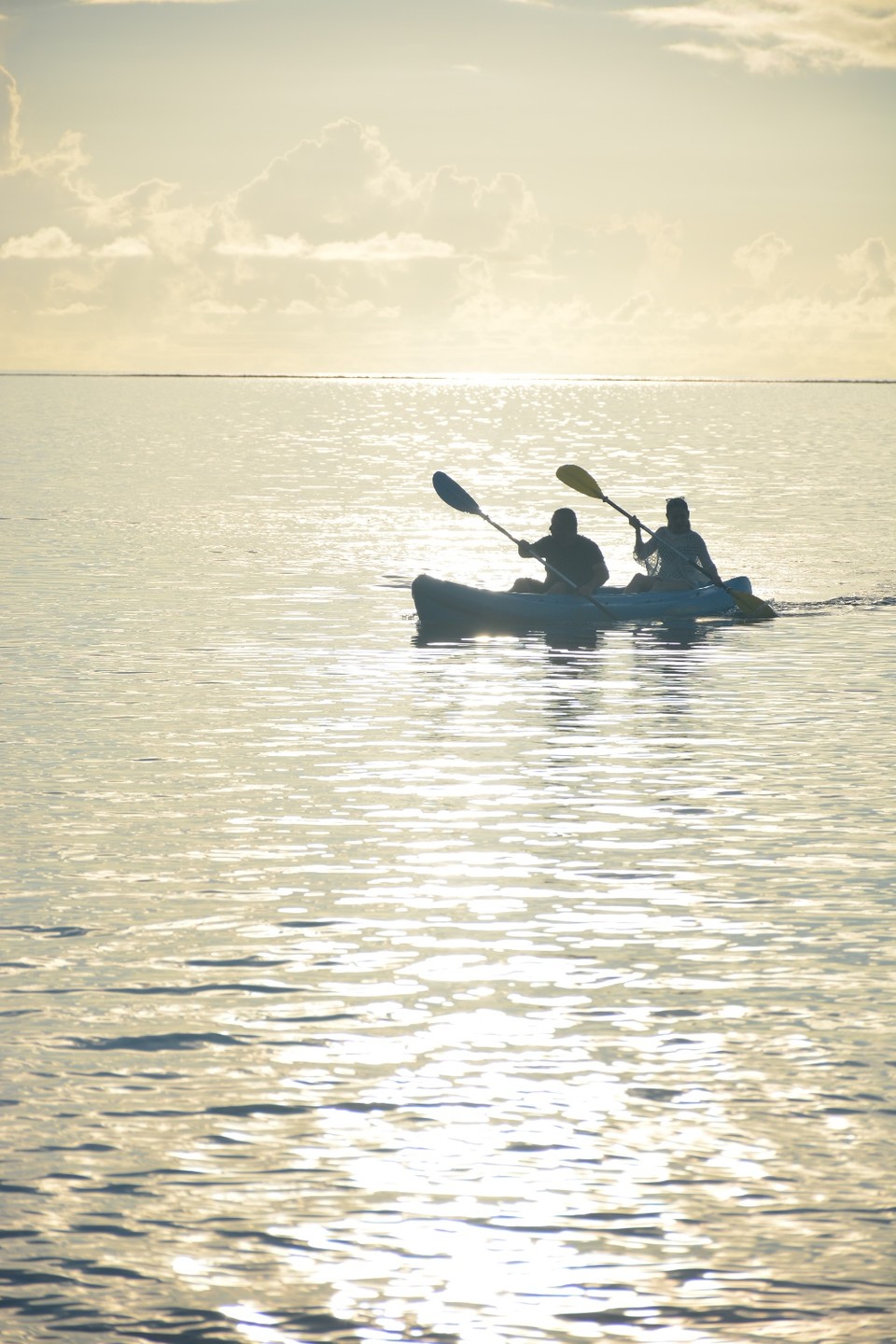 E6571EDD-A684-4595-BB6C-4358FAF52169