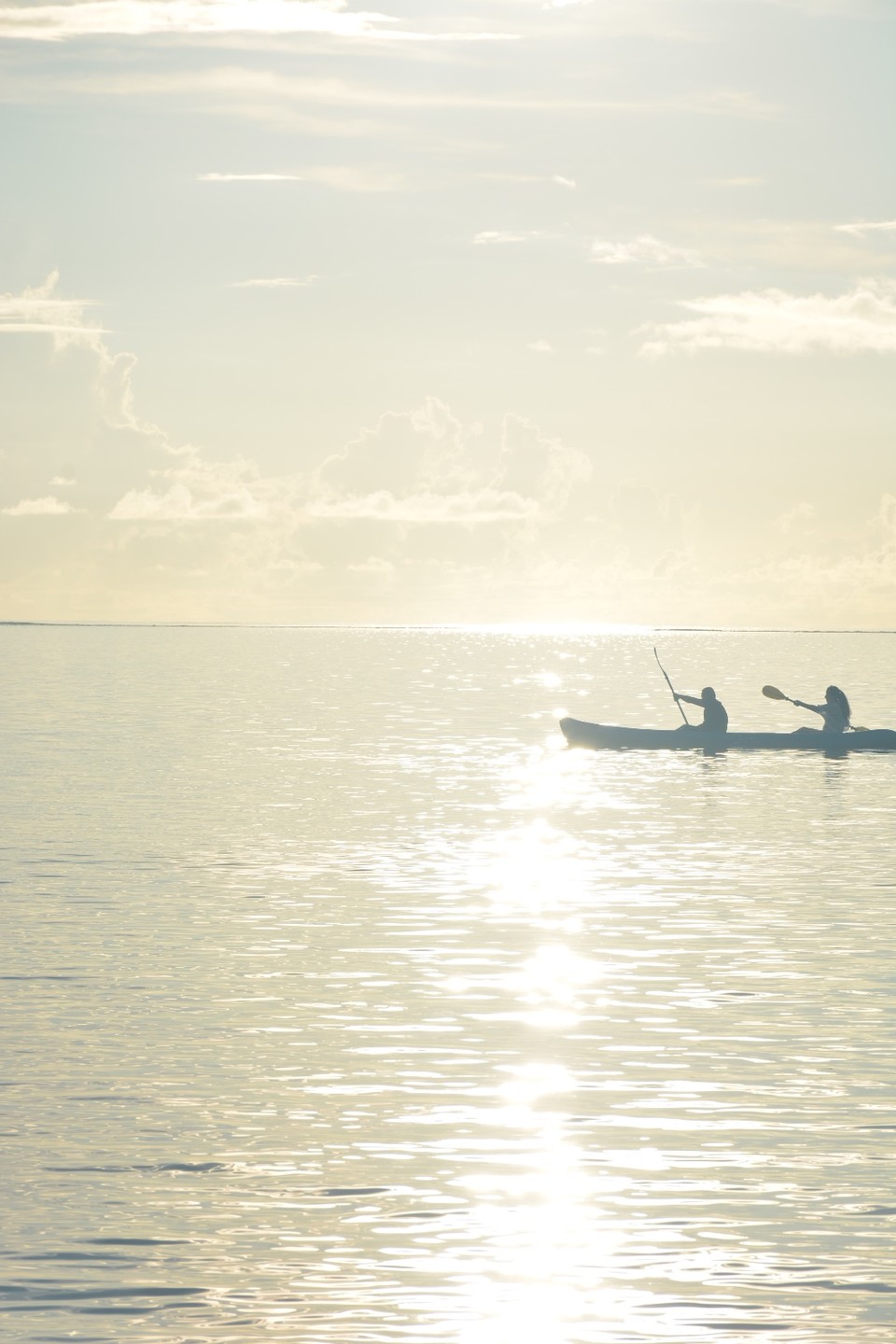 D9B8EE01-78D8-4225-85F4-CA1481769817