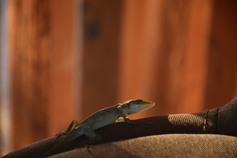 A999F4AC-BF6C-4D00-8FCB-34EDB1B0A4C4