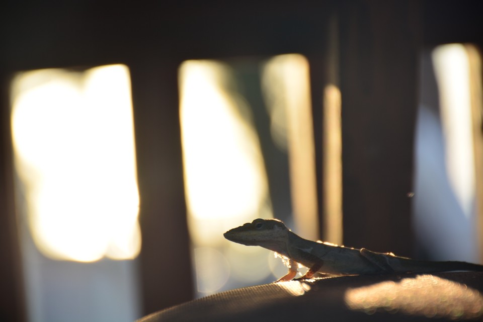 28FF267B-35F2-481E-A9E6-AA964055BC1F