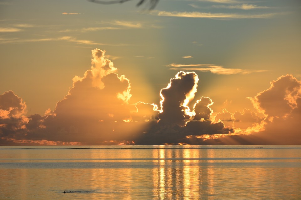 334C8131-B87D-4830-8B8C-53683C2095F5