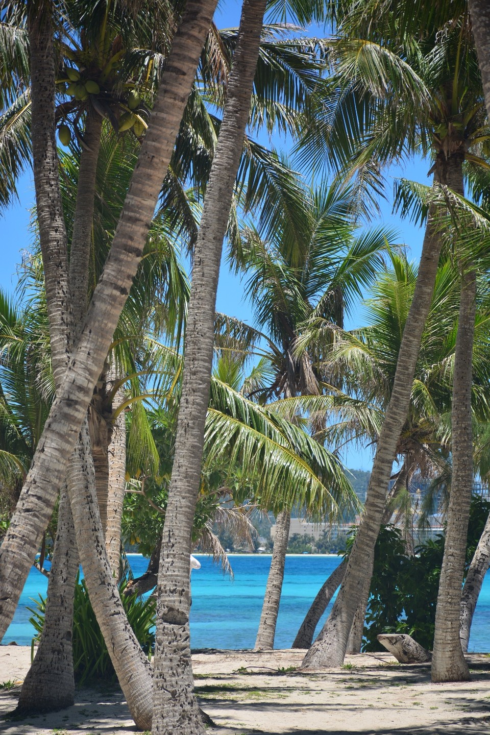 A6A36542-9568-43A4-824F-CE0CB4569A5F