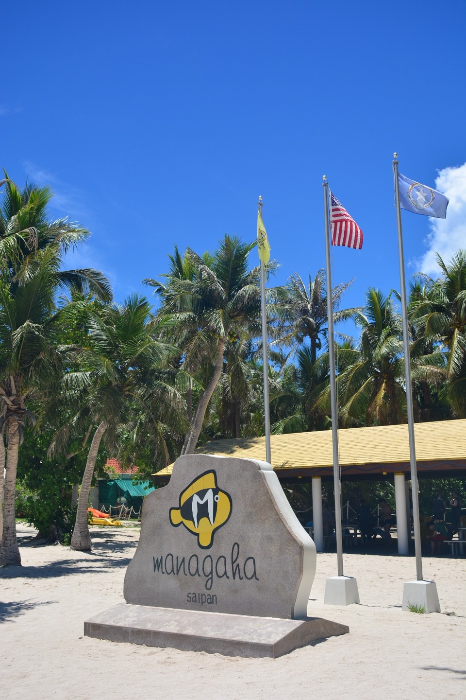 388B095D-8A45-4860-B455-2EEB0F802AD0