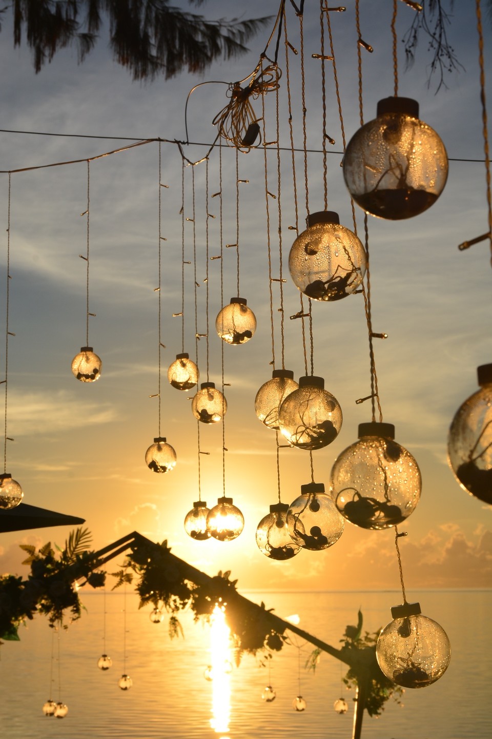 8C9132CA-6C40-4987-BA6A-B03734D71DAF