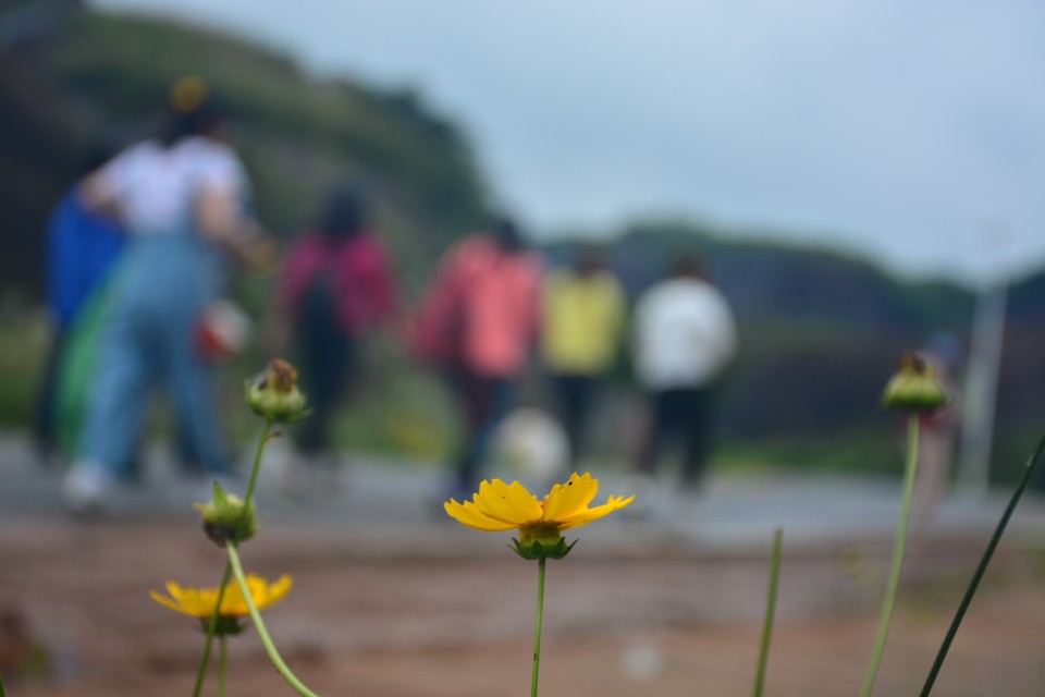 C091CAE2-CF46-45BE-B223-3FB34131FC43