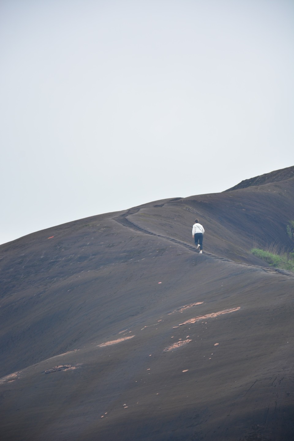 845A371A-C8A8-483D-8283-CF318D744708