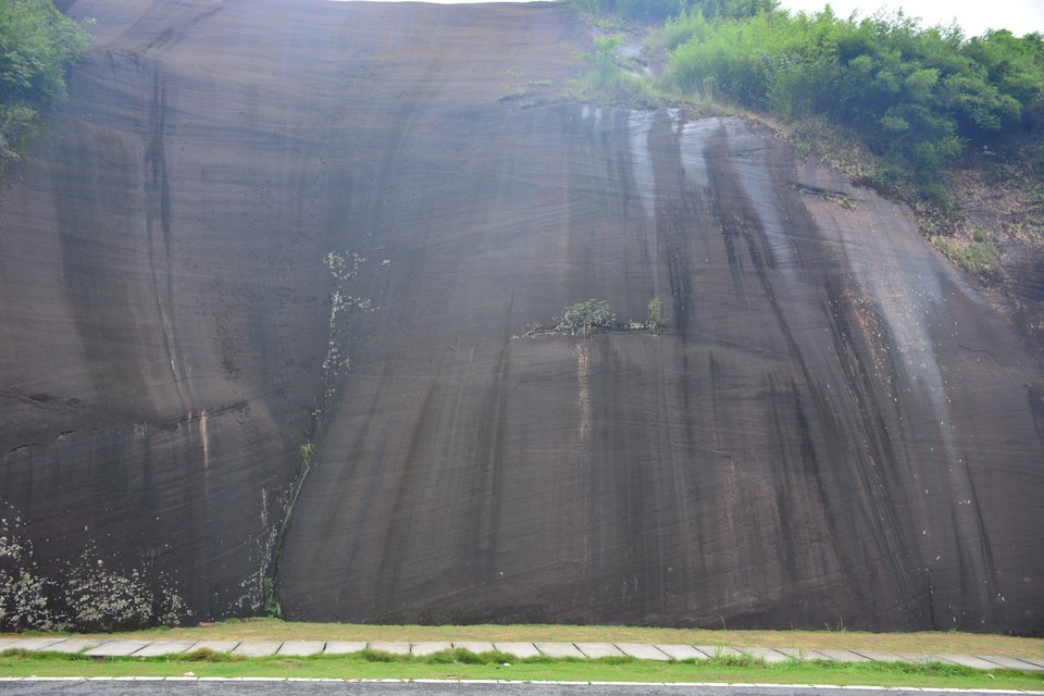 7CB3B8DF-50F6-4924-AA1D-A896359F0490