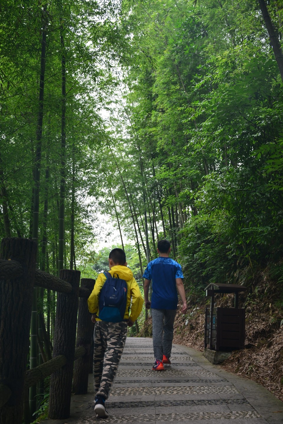 5E532A8D-F67E-4698-90A0-E9639E05DD75