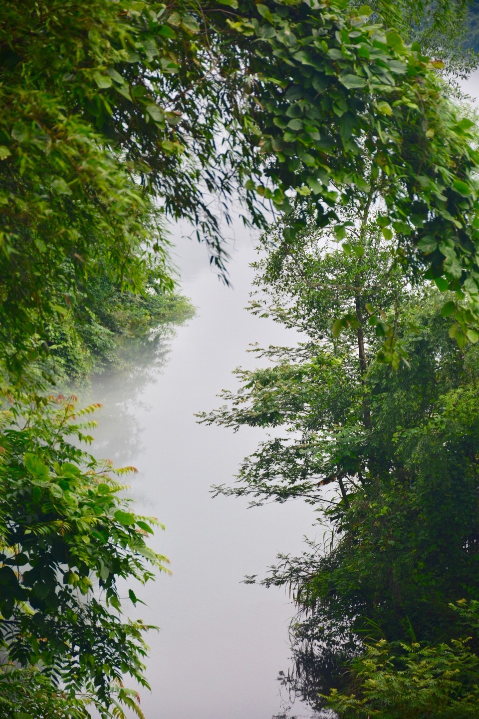 0047C832-67B0-4060-9EE6-863AC42B28CA