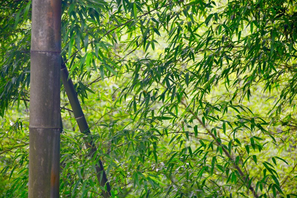 9AD68384-6B0F-4DEF-9C08-0FF7902AA925