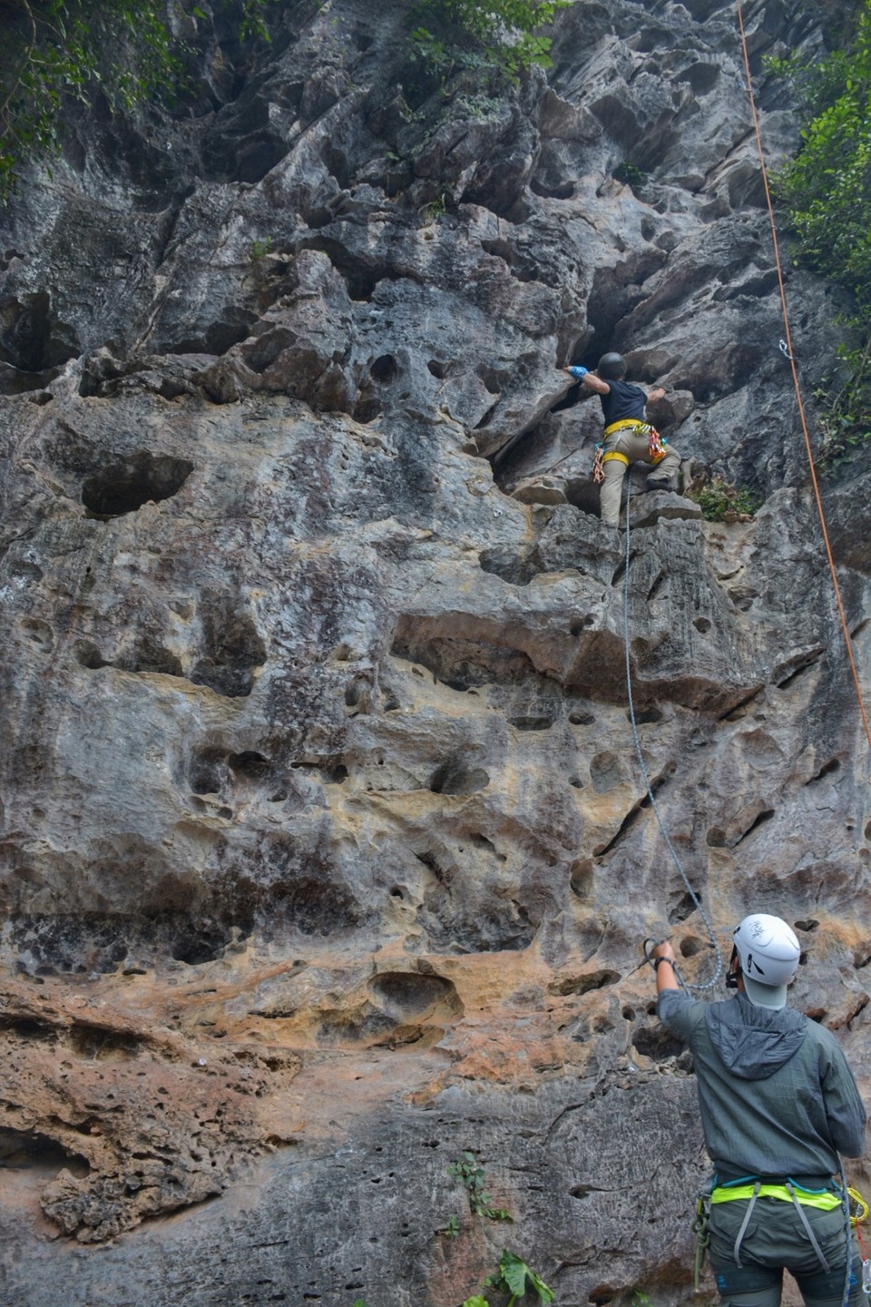 6DC73B7C-DE0C-4C5A-95D6-D3A71FC49468