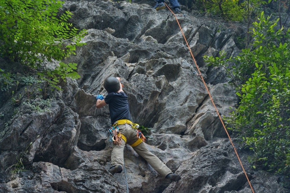 DDBD5FBB-8F38-445D-9AE9-3AC65BE9BA23