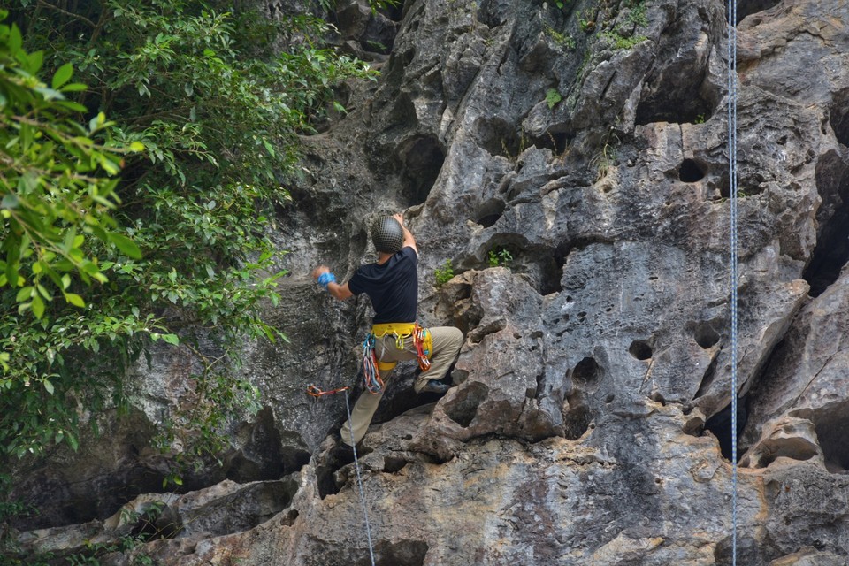 8391CF5D-53D3-4761-8ED4-0C95EB9903B6