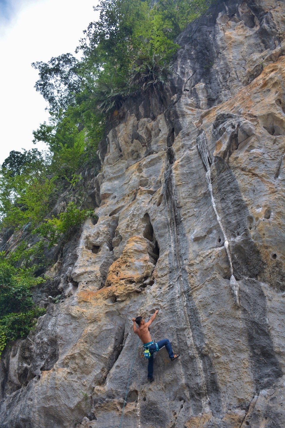 869B23A2-0B5C-4AE1-B61F-D67E82AAB50D